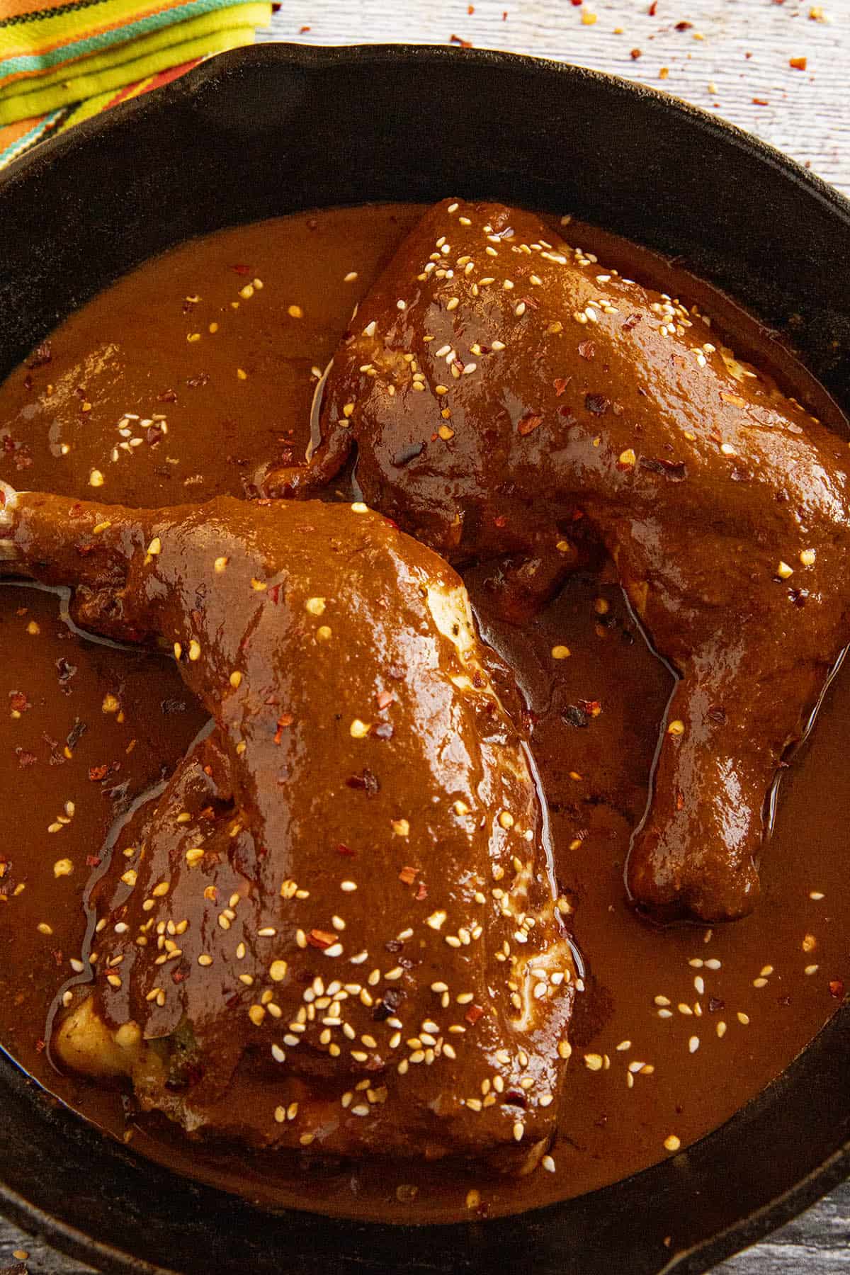 Mole Potosino